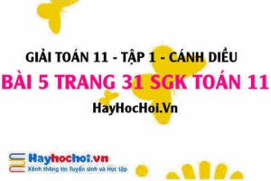 Giải bài 5 trang 31 Toán 11 tập 1 SGK Cánh Diều